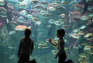 16-meli-palace-fun-around-in-cretaquarium